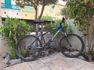 Herren Mountain-Bike