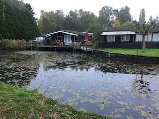 Ferienhaus Geel Außenaufnahme 4