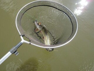 Holiday house Geel Outdoor Recording 6