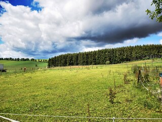Ferienhaus Mützenich Außenaufnahme 2