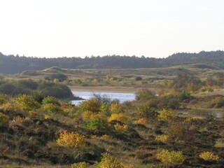 Vakantiehuis Schoorl Omgeving 33