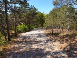 Vakantiehuis Schoorl Omgeving 36