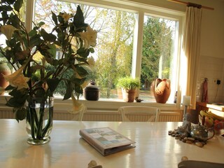 Maison de vacances Bergen (Holland)  30