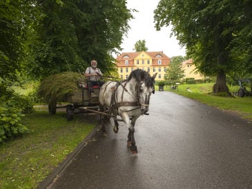 Ferienwohnung Grafensuite im Schloss Lühburg