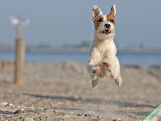 Casa de vacaciones Kampen Entorno 22