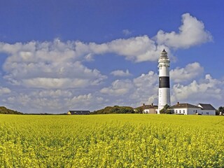 Appartamento per vacanze Kampen Ambiente 22