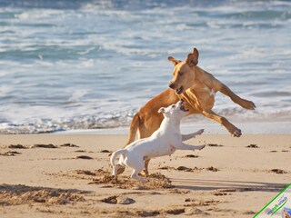 Appartamento per vacanze Kampen Ambiente 25