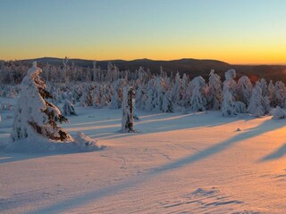 Vakantiehuis Hahnenklee Omgeving 15