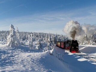 Vakantiehuis Hahnenklee Omgeving 17
