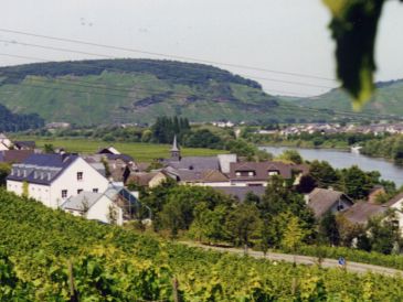 Ferienwohnung Moseltraum
