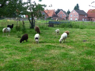 Casa per le vacanze Wunstorf Ambiente 9