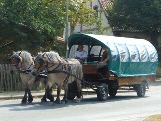 Casa per le vacanze Wunstorf Ambiente 10
