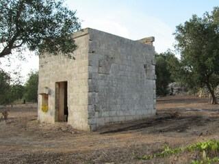 Typical casetta, a small house  in the olive grove
