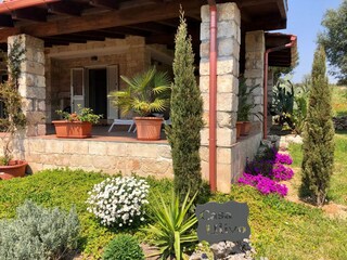 Garden in Soring