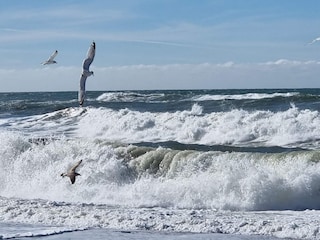 Maison de vacances Vejlby  13