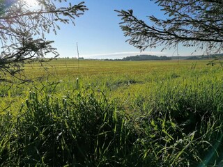 Vakantiehuis Saltum  22