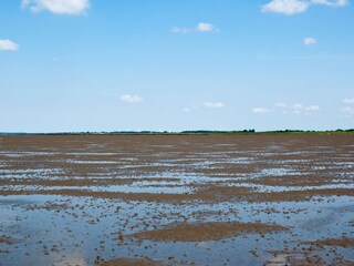 Das Wattenmeer