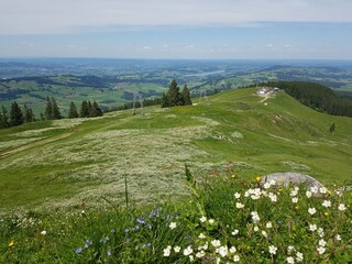 am Grünentplateau
