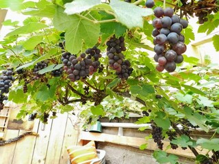 Apartamento Lysekil Grabación al aire libre 4