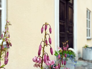 Vakantiehuis Väsby Buitenaudio-opname 4