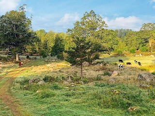 Vakantiehuis Gamleby  27