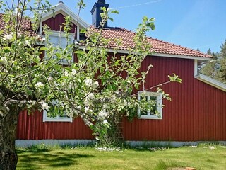 Holiday house Gamleby Outdoor Recording 8