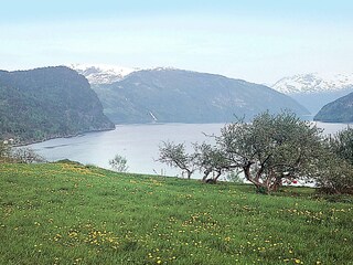 Vakantiehuis Heggjabygda  13