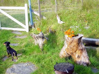 Vakantiehuis Åkra  18