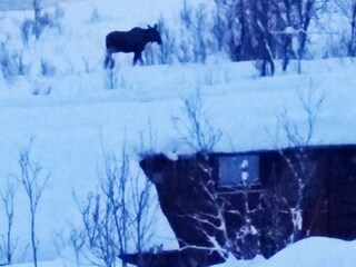 Casa de vacaciones Tromsø  16