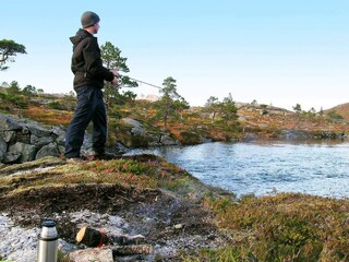Casa per le vacanze Henningsvær  16