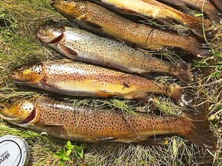 Casa de vacaciones Henningsvær  23