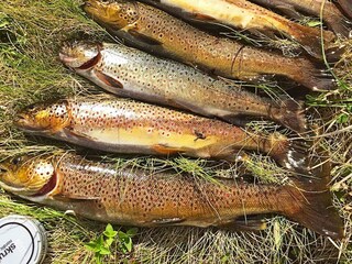 Casa per le vacanze Henningsvær  17