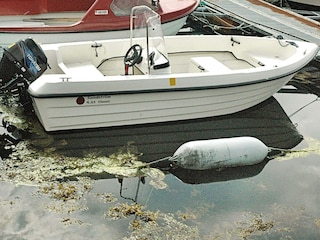 Apartamento Eide  40