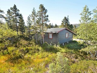 Vakantiehuis Bygland Buitenaudio-opname 9