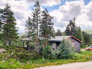 Ferienhaus Bygland Außenaufnahme 7