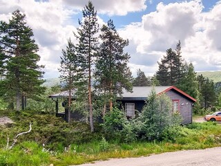 Vakantiehuis Bygland Buitenaudio-opname 3