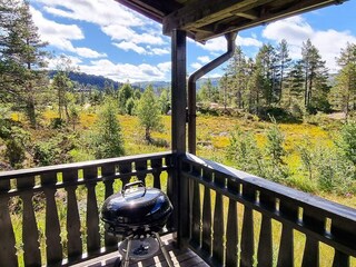 Holiday house Bygland Outdoor Recording 11