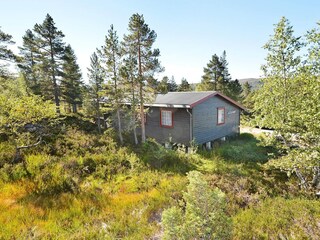 Vakantiehuis Bygland Buitenaudio-opname 8