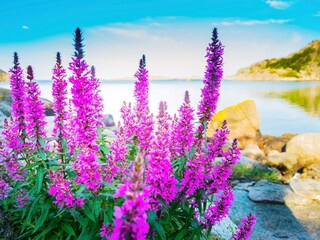 Maison de vacances Korshamn Enregistrement extérieur 24