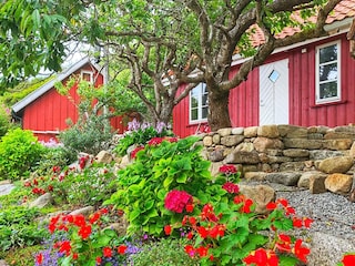 Ferienhaus Korshamn Außenaufnahme 7
