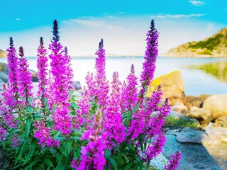 Casa de vacaciones Korshamn  23