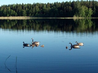 Casa de vacaciones Grisslehamn  15