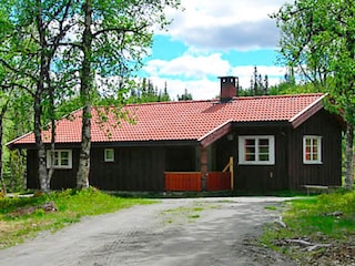 Vakantiehuis Nesbyen Buitenaudio-opname 5