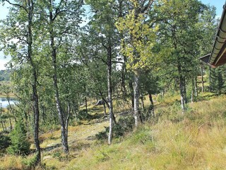 Ferienhaus Nesbyen  10