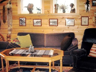 Ferienhaus Setesdal  7