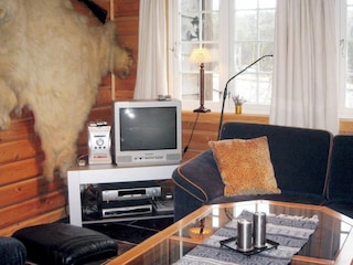 Ferienhaus Setesdal  5