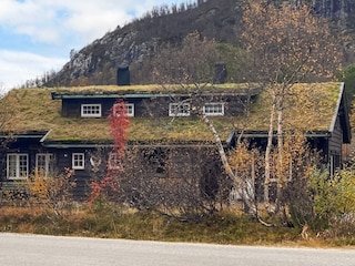 Ferienhaus Setesdal Außenaufnahme 3