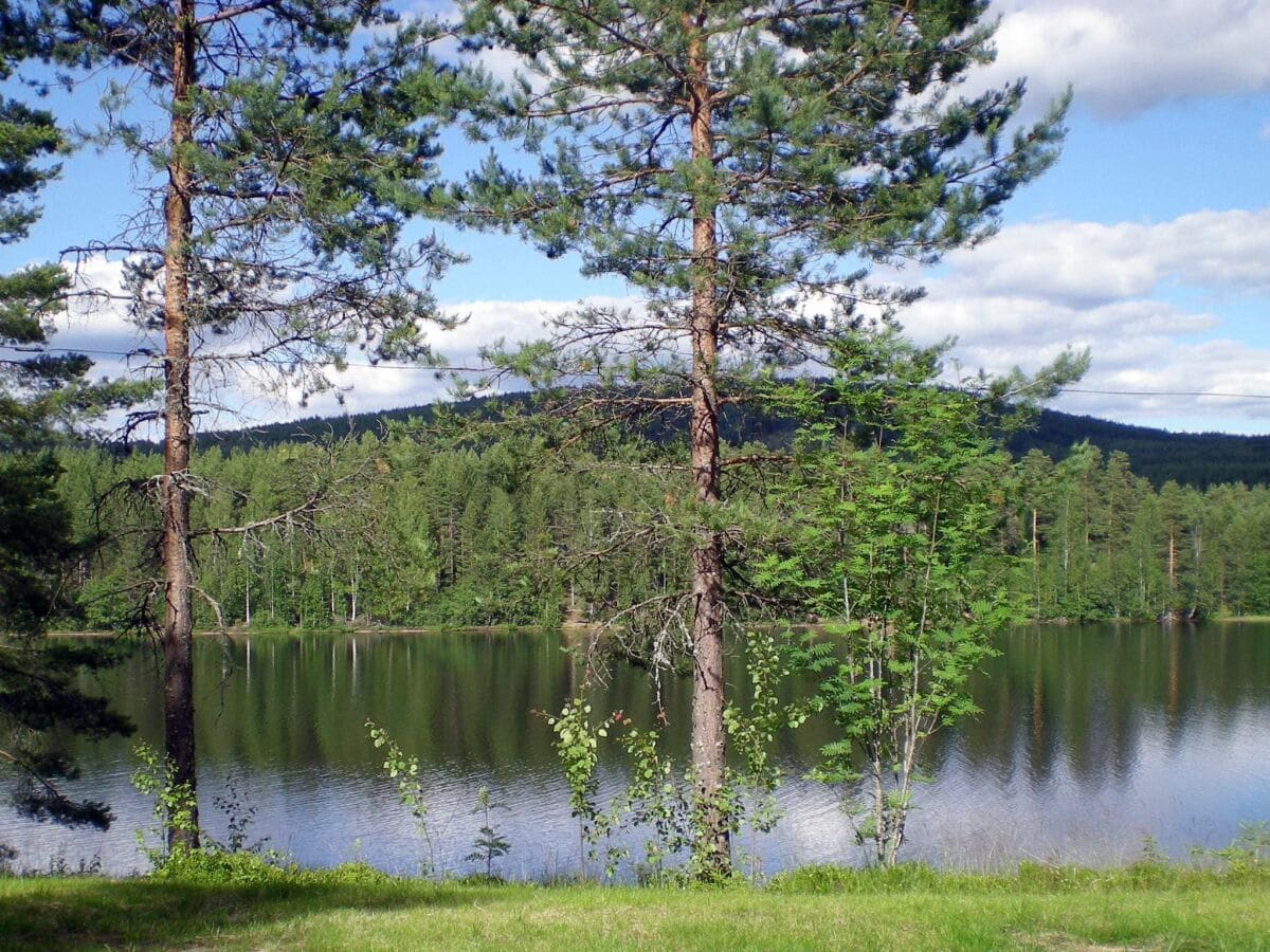 Ferienhaus Lekvattnet  18