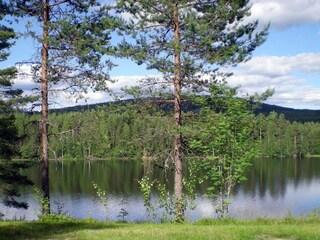 Holiday house Lekvattnet  8