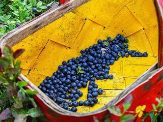 Casa de vacaciones Lekvattnet  12